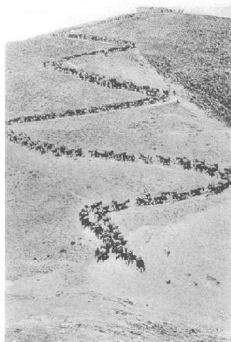 Columna de tropas espa�olas en marcha hacia una posici�n